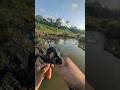 Sambaran ganas ikan gabus babon #amfishing #castinggabusbesar #mancingmania #mancingliar #spotrawa