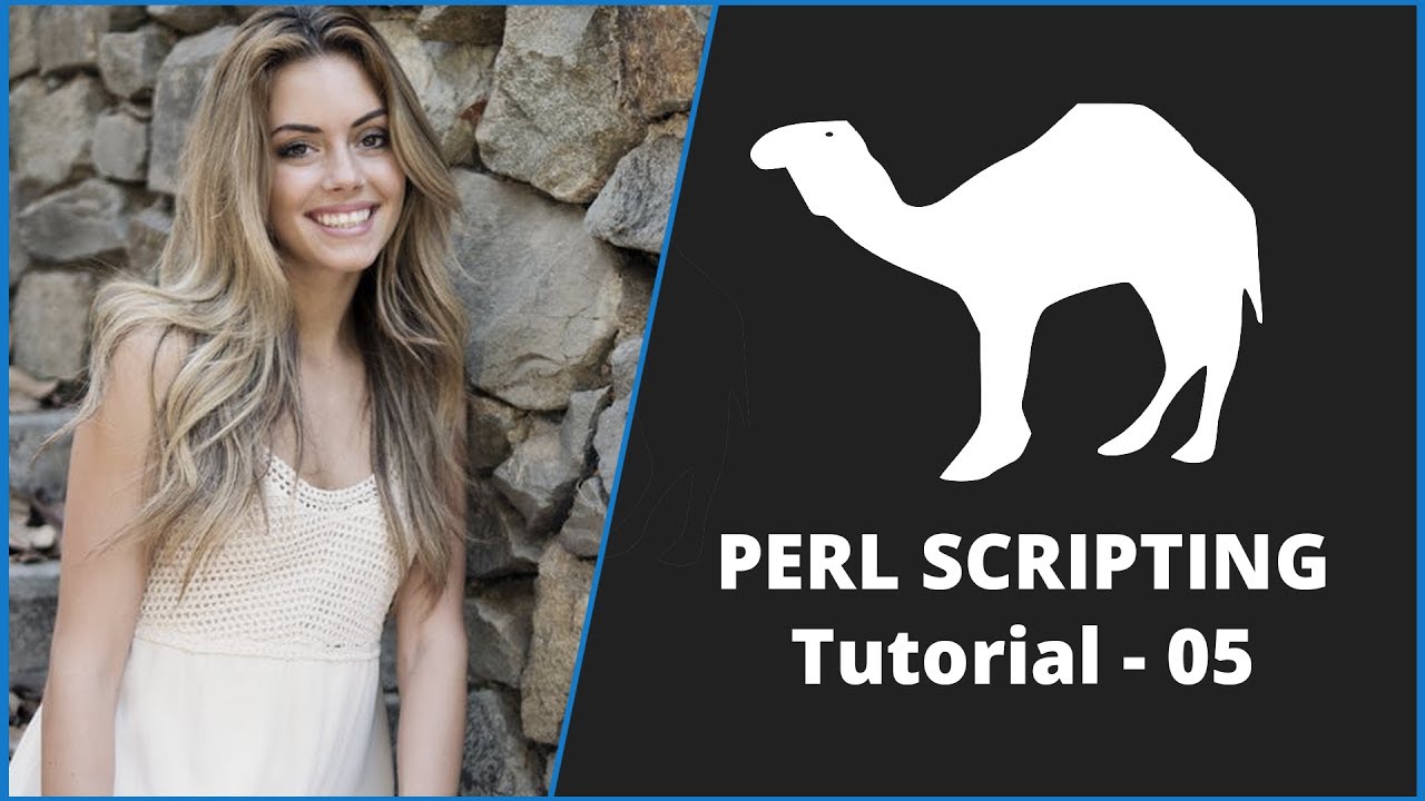 PERL Tutorial - 5 | PERL Tutorial for Beginners - 5 | Perl Scripting ...