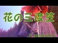 花の三度笠(小畑 実) 雑想カラオケOj 【再公開】