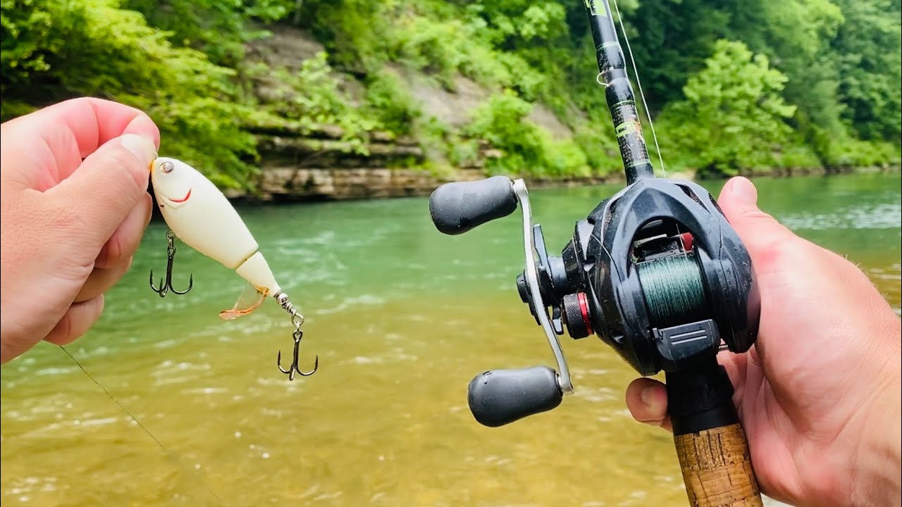 dadgum fishing pole Amazon.com: Dadgum Poles: Fishing Poles