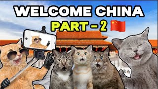 CAT MEMES: TRAVEL TO CHINA ( part 2 )