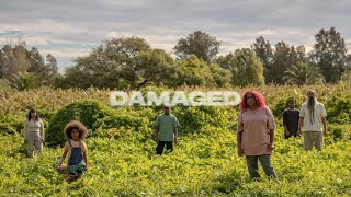 Video thumbnail of "Miiesha - Damaged (Official Music Video)"