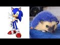 Sonic Boom Characters In Real Life 2019 - Part 2