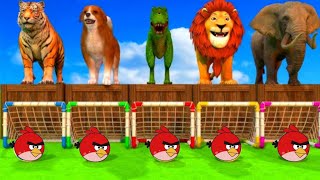 Paint Animals Game Tiger, fox, Gorilla , Elephant  Lion Fountain Crossing Animal | Animal Sound