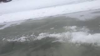 Drevviken-4 180311