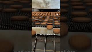 Gaza biscuit factory reopens at fraction of capacity