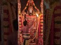 Govinda Govinda..🙏🏽#venkateswaraswamy #divine#comments #like