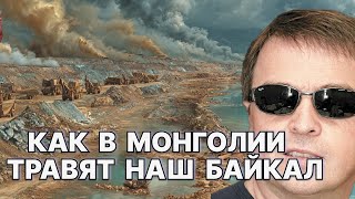 видео: Как в Монголии травят наш Байкал / #ЗАУГЛОМ #АНДРЕЙУГЛАНОВ картинка: Как в Монголии травят наш Байкал / #ЗАУГЛОМ #АНДРЕЙУГЛАНОВ
