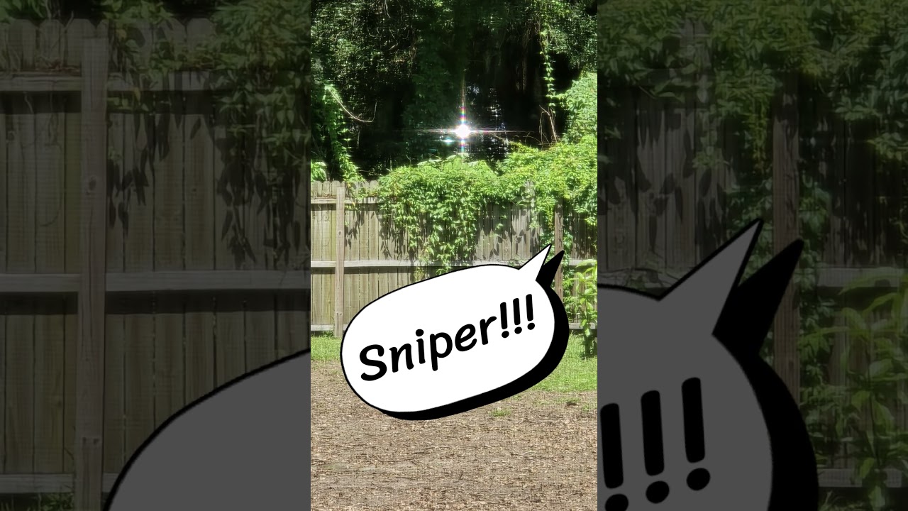 When you see the glint and the squad is no where to be found. #sniper #theygotme #bf6 #fortnite