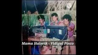 Mama Halerik - Vidigal Pinto