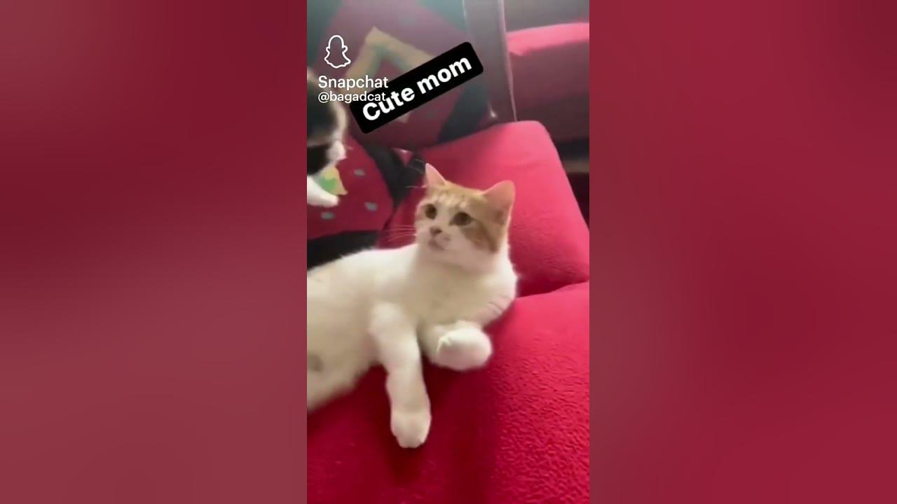miss u mom YouTube