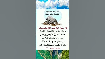 فضل سجود التلاوة عند قراءة السور التي فيها سجود التلاوة