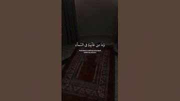 اريح سمعك بل قرآن كريم #explore اللهم اجعل القرآن ربيع قلوبنا ونور صدورنا