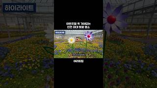 인천대공원 영상