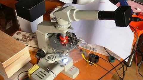 Faraday rotation and magnetic domains