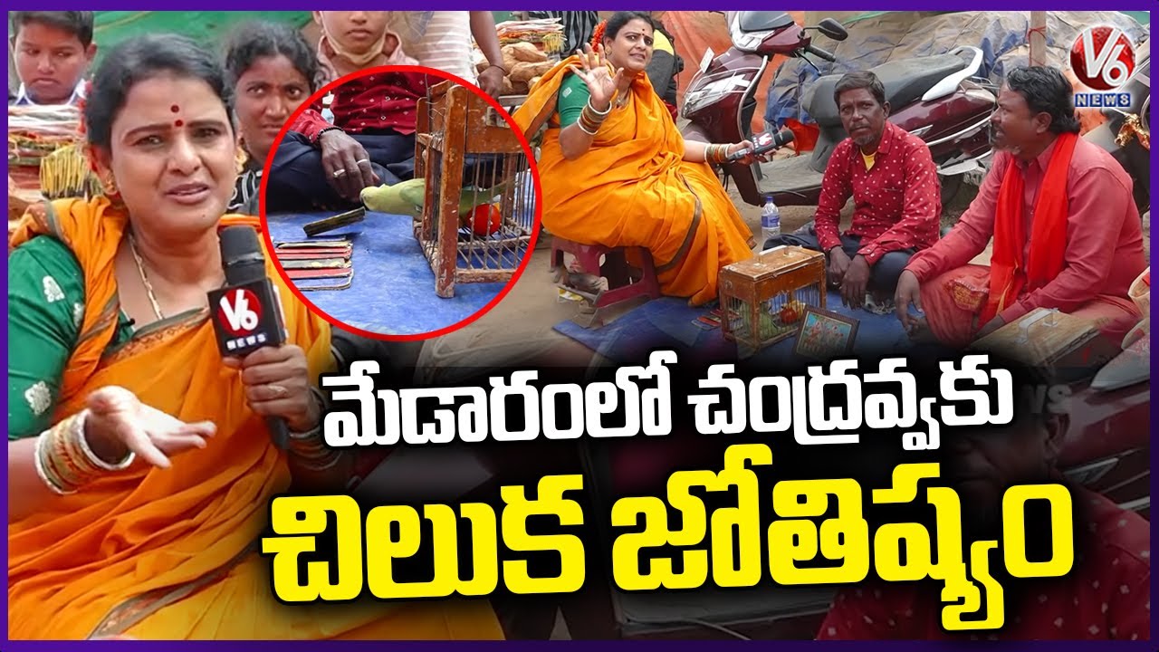 Teenmaar Chandravva Chit Chat With Parrot Astrologers And Koyya Dhora In Medaram | V6 News