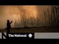 Apocalyptic scenes in B.C. wildfire zones