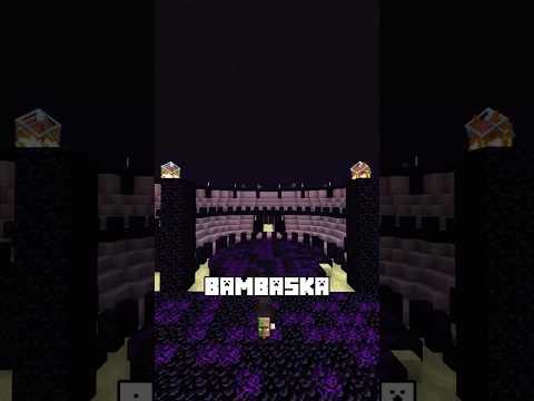 0'dan Minecraft sunucusu kuruyorum | gün 25: Özel Biyomlar, Bosslar ve Dungeonlar!#minecraft #demomc