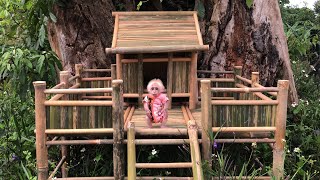 Full video  Baby monkey Bon and Dad worked on the biggest bamboo house project
