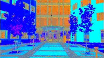 Black and White in Color Illusion