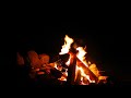 Костер со звуками потрескивающего огня у реки | Bonfire with Crackling Fire Sounds (NO MUSIC)