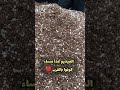 تعلم صناعة تربة البيتموس فى البيت من دون تكاليف بيتموس تربه