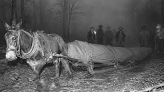 Kentucky's Buried Giant - The Ward They Emptied In 1931 After What the Night Nurse Wrote
