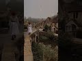 اغنية شارة البداية لانمي دروب ريمي
