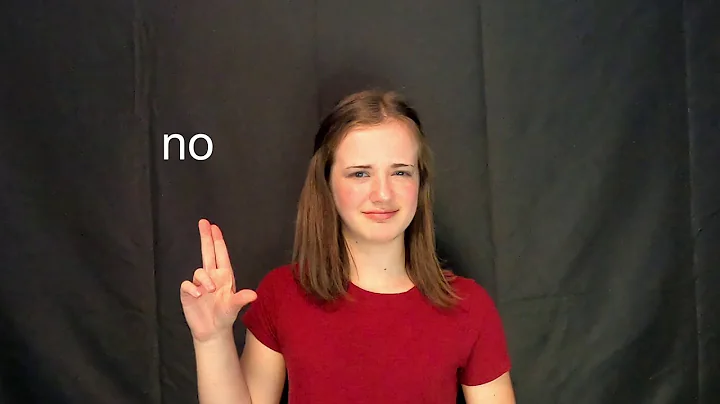 Sign Language Manners