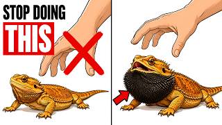 7 Things You're Doing That Your Bearded Dragon Hates