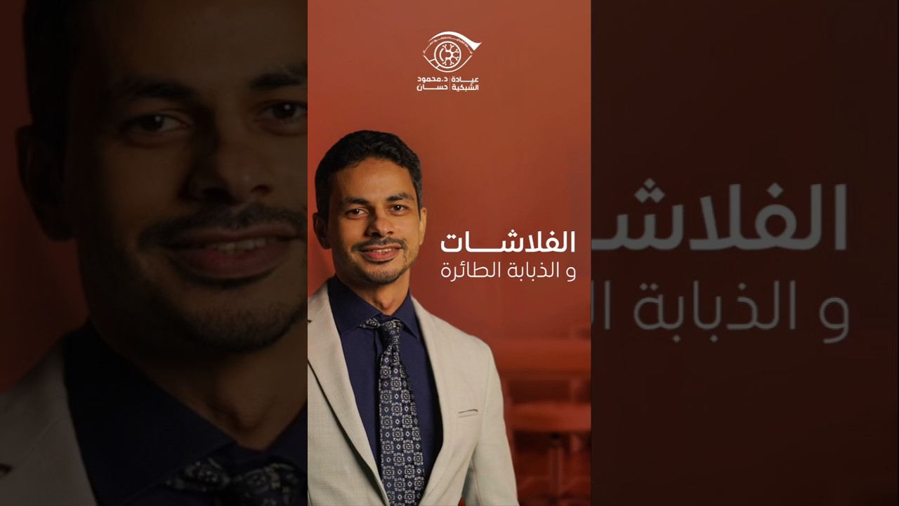 الفلاشات و الذبابة الطائرة
