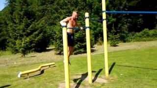 Street Workout Bar Wolf