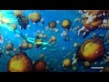 RAINMAKER project - Planet Ocean - ПЛАНЕТА ОКЕАН [HD]
