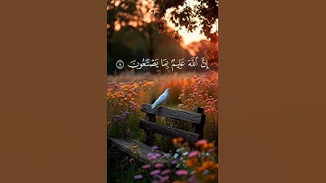 سورة فاطر جزء من آيه { ٨ }#المصحف #quran #اكسبلور #حالات_واتس #راحة_نفسية #islamicholiday #لايك #isl