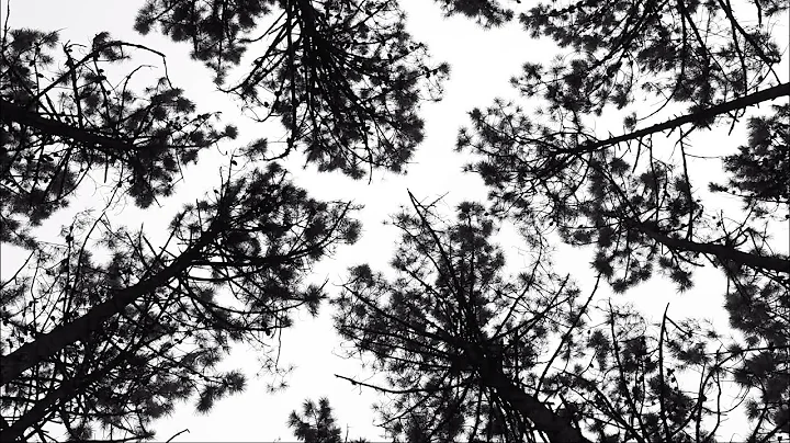 Evocation #3: Empirical - Marco Santos feat. Marti...