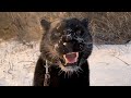 First snow ❄️ ❄️ ❄️(ENG SUB)