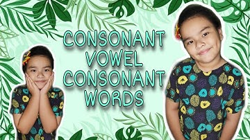 CONSONANT VOWEL CONSONANT WORDS I PERFORMANCE TASK IN ENGLISH