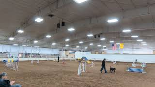 Q! AKC Standard Masters 16P 1/17/25