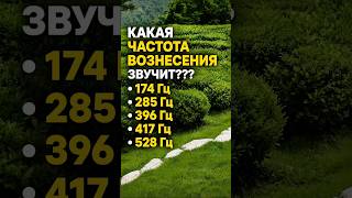 Снова эти удивительные частоты 👍 Попробуйте угадать, какая сейчас звучала основным фоном?
