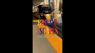 Bright Escapes Episode 1
