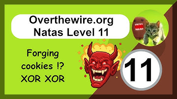 Overthewire - Natas - Level 11 - Web App Hacking - XOR Encoded Cookies