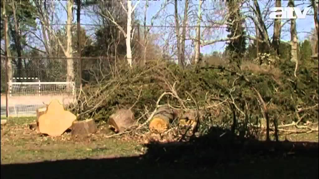 „Hatalmas pusztítás történt