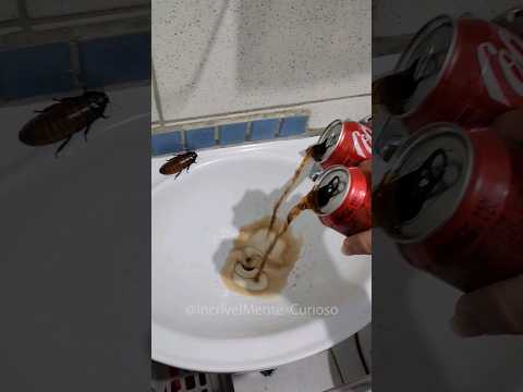 Vídeo: Coca zero tem açúcar?