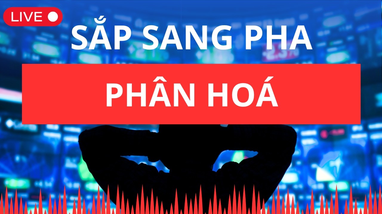 Sắp sang pha phân hoá | Chứng khoán hôm nay | Nhận định thị trường