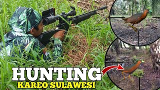 Take cover because of the rain TARGET Approaching–Hunting Kareo Sulawesi Additional water birds