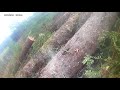 Oregon coast timber falling