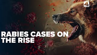 Rabies Cases on the rise in Comal County