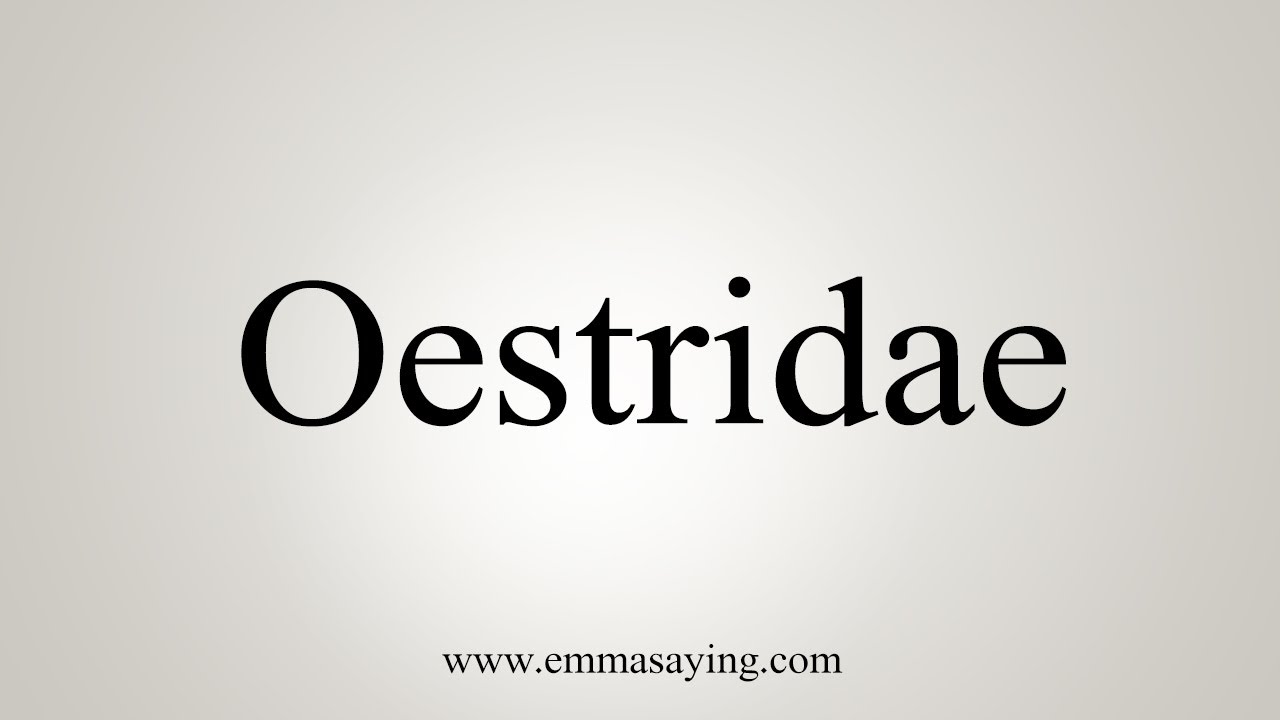 How To Say Oestridae