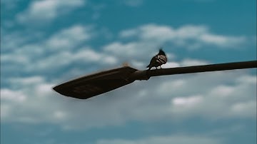 قل لو كان معه الهة كما تقولون سورة الإسراء القارئ يوسف العيدروس #يوسف_العيدروس سورة_الإسراء