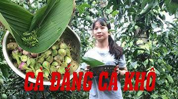 CÀ ĐẮNG CÁ KHÔ CHỈ CÓ Ở TÂY NGUYÊN!
